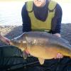 Fish 3